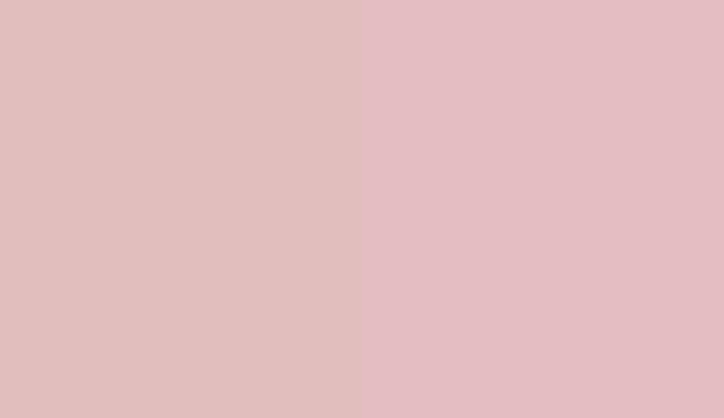 HEX #E1BEBD to RAL 010 80 15 HEX #E1BEBD to RAL 010 80 15