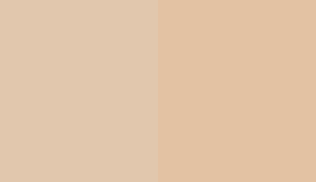 HEX #E1C7AD to RAL 070 80 20