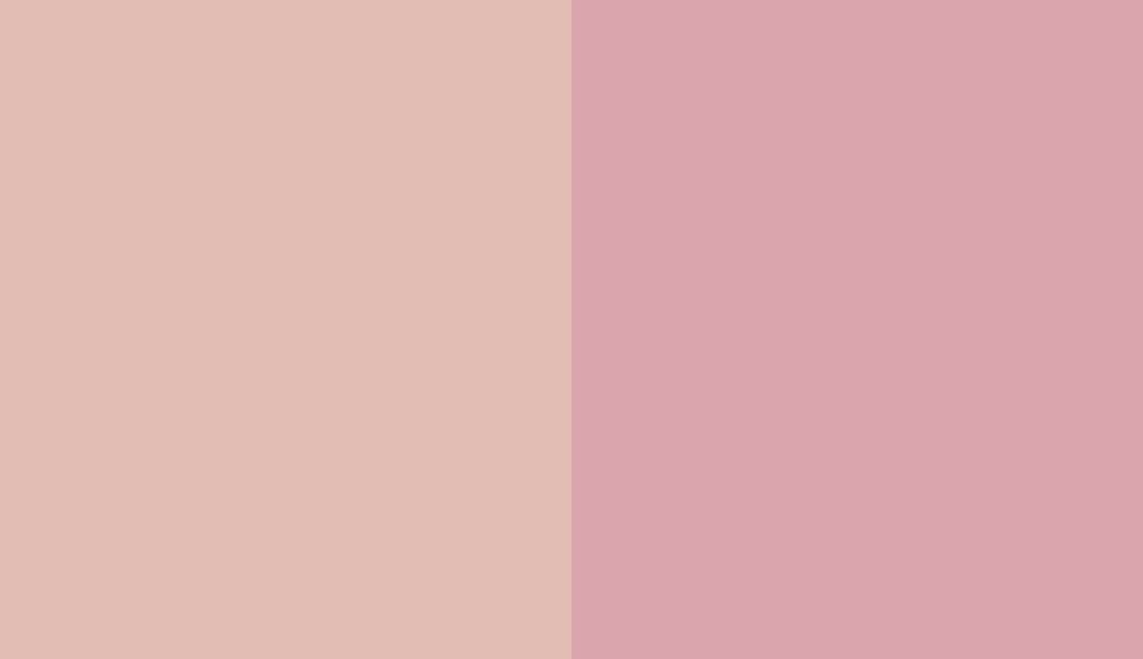 HEX #E2BDB4 to RAL 3015
