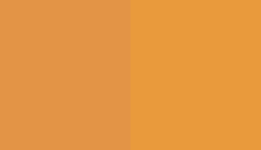 HEX #E39446 to RAL 070 70 60 HEX #E39446 to RAL 070 70 60