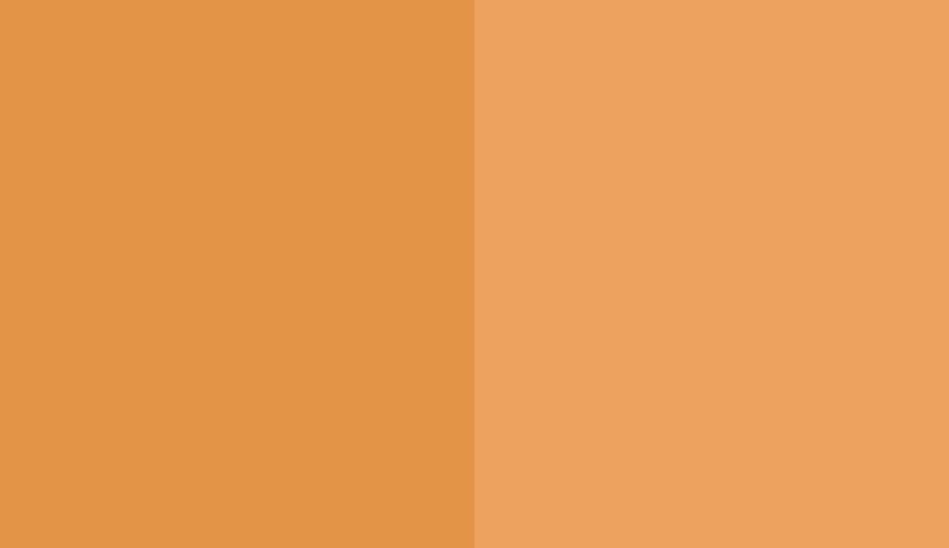 HEX #E39446 to RAL 1034 HEX #E39446 to RAL 1034