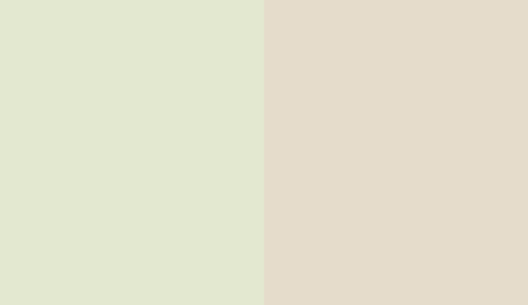 HEX #E3E8D0 to RAL 1013