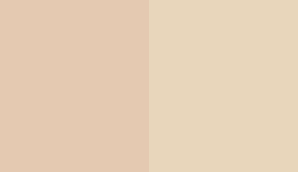 HEX #E4C9B1 to RAL 1015