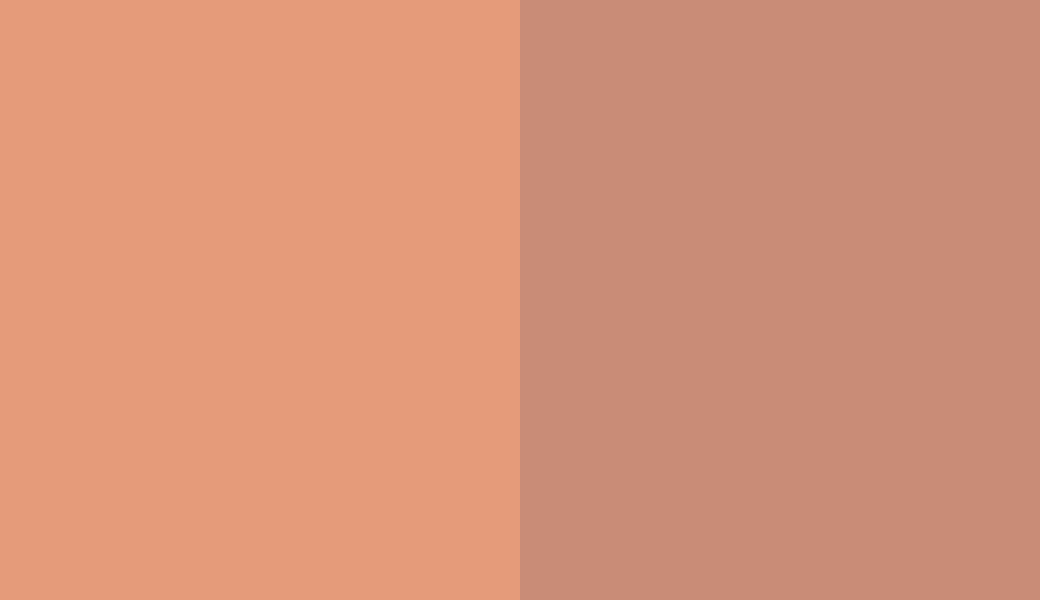 HEX #E59B7A to RAL 3012 HEX #E59B7A to RAL 3012
