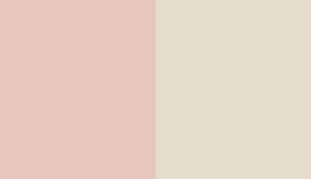 HEX #E6C5BE to RAL 1013