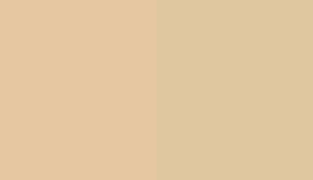 HEX #E6C7A1 to RAL 1014