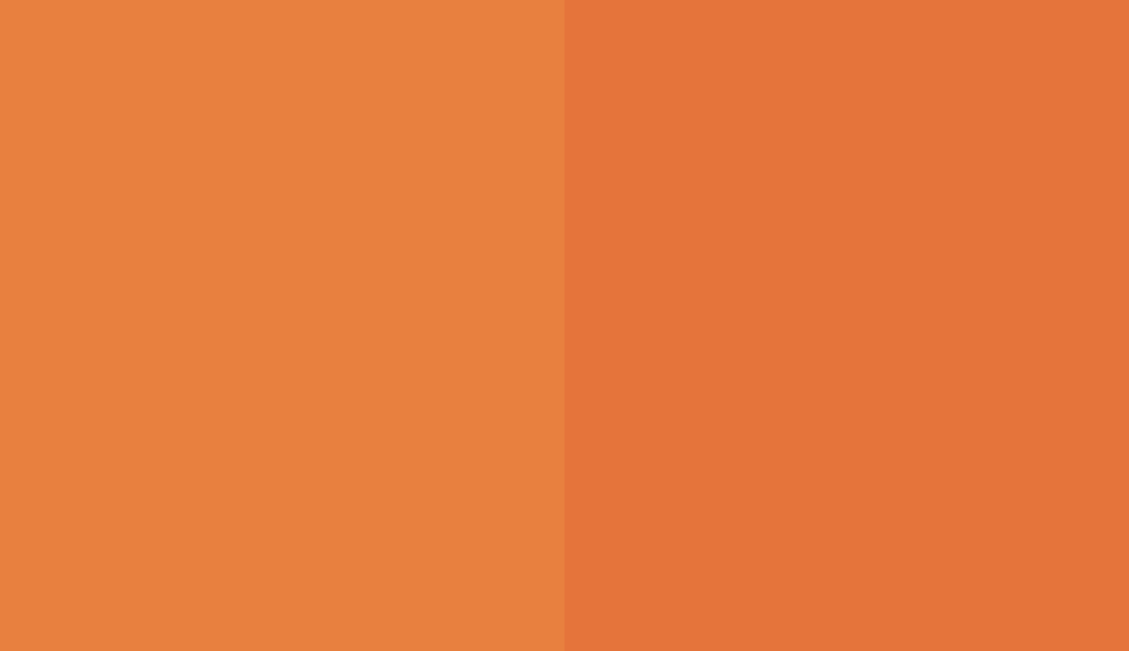 HEX #E8803F to RAL 050 60 60