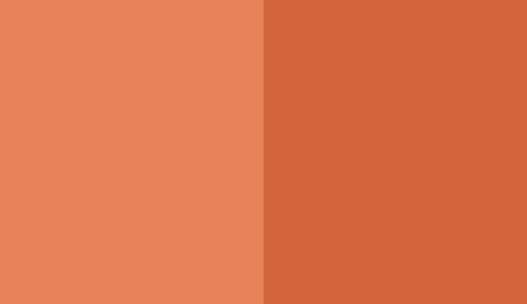 HEX #E88259 to RAL 2010