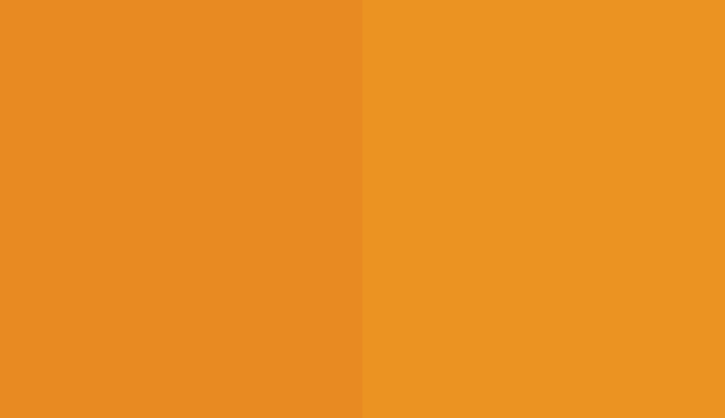 HEX #E88A22 to RAL 1007