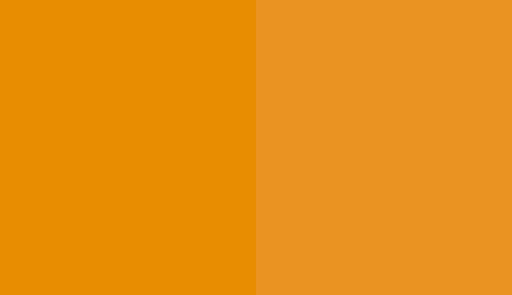 HEX #E88D01 to RAL 1007