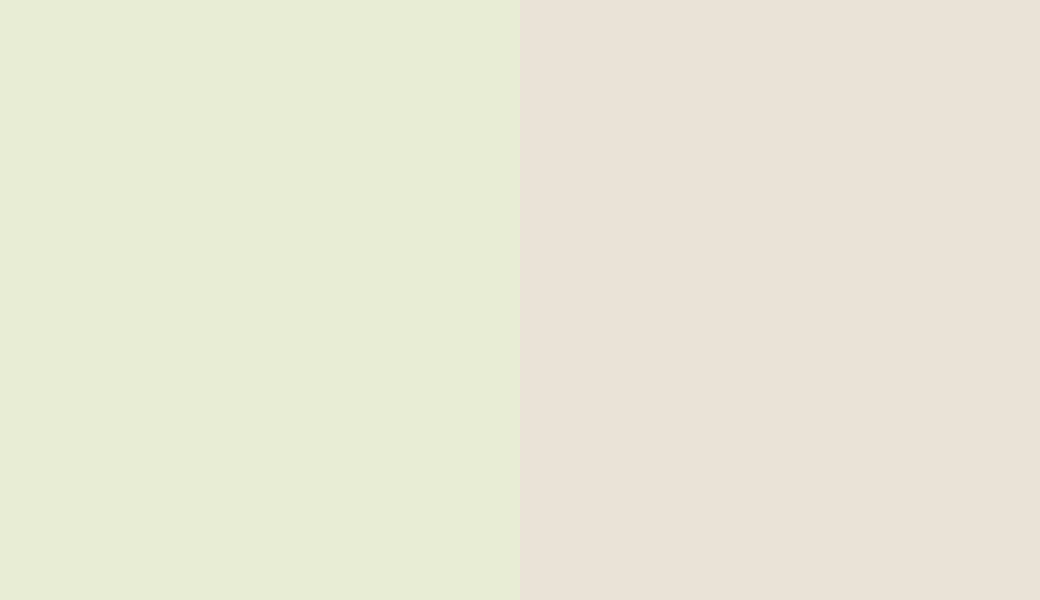 HEX #E8EDD5 to RAL 9001