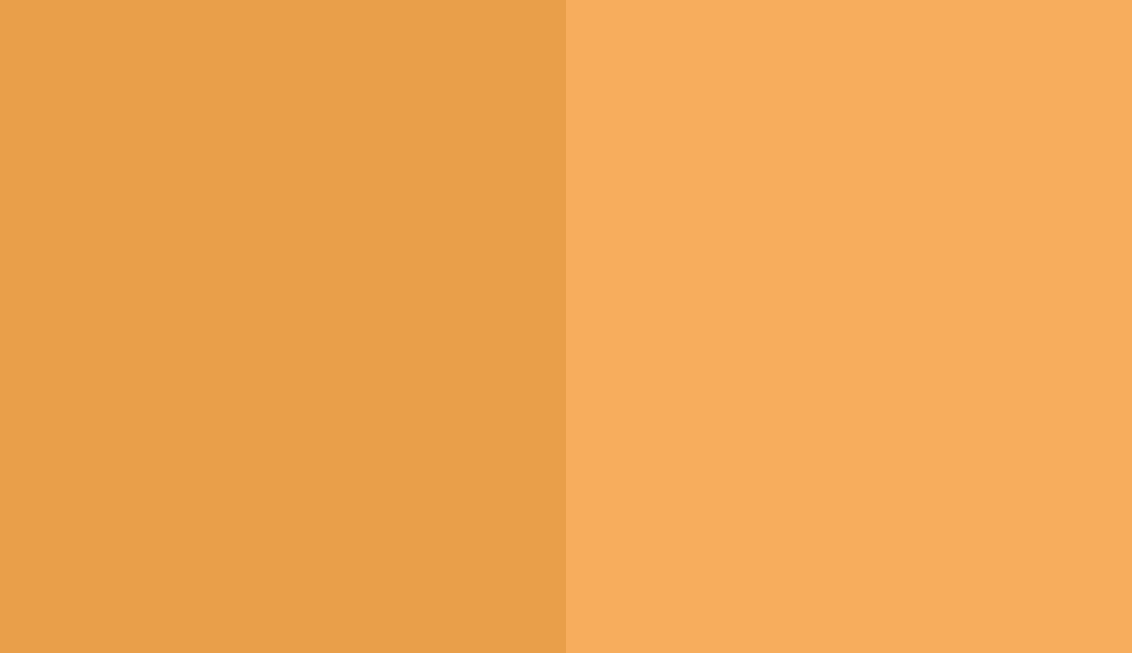 HEX #E99F4A to RAL 1017 HEX #E99F4A to RAL 1017