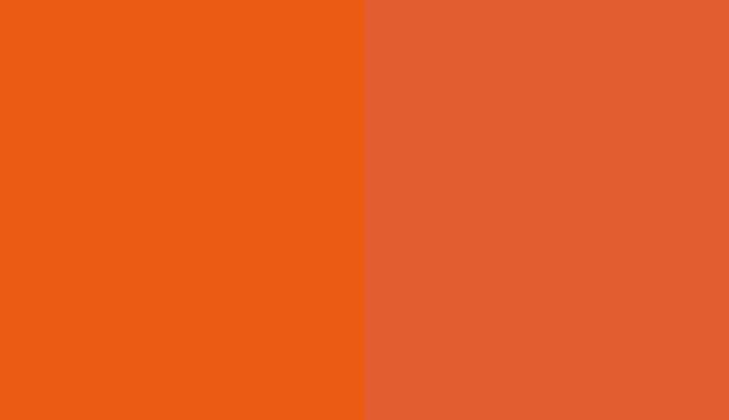 HEX #EA5A10 to RAL 2004