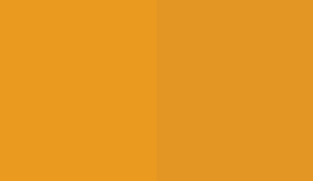 HEX #EA9A1F to RAL 1006