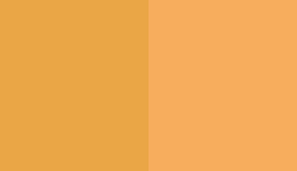 HEX #EAA646 to RAL 1017 HEX #EAA646 to RAL 1017