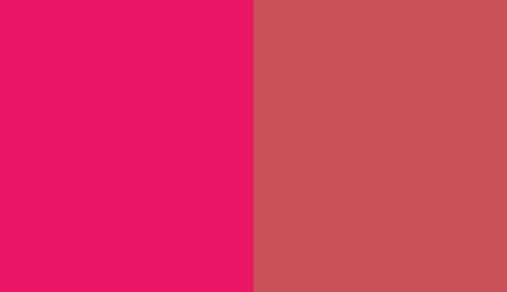 HEX #EB1666 to RAL 3018 HEX #EB1666 to RAL 3018