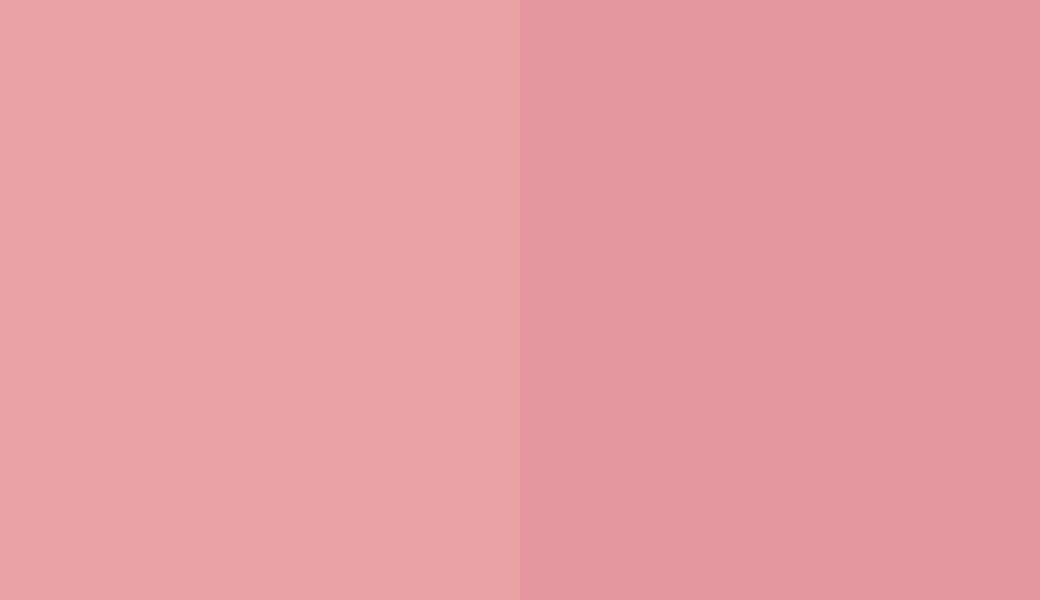 HEX #EBA5A5 to RAL 020 70 30