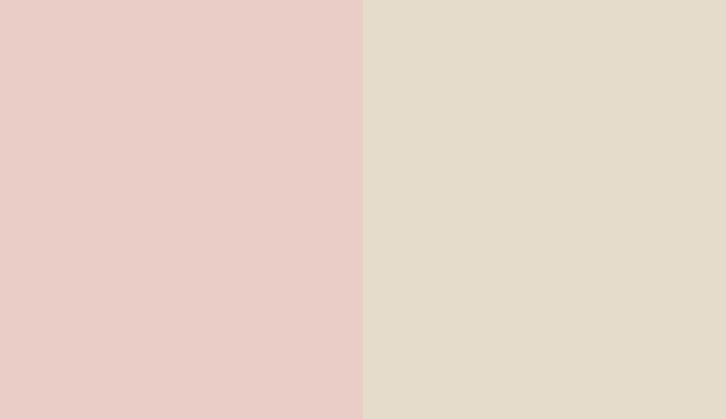 HEX #EBCDC7 to RAL 1013 HEX #EBCDC7 to RAL 1013