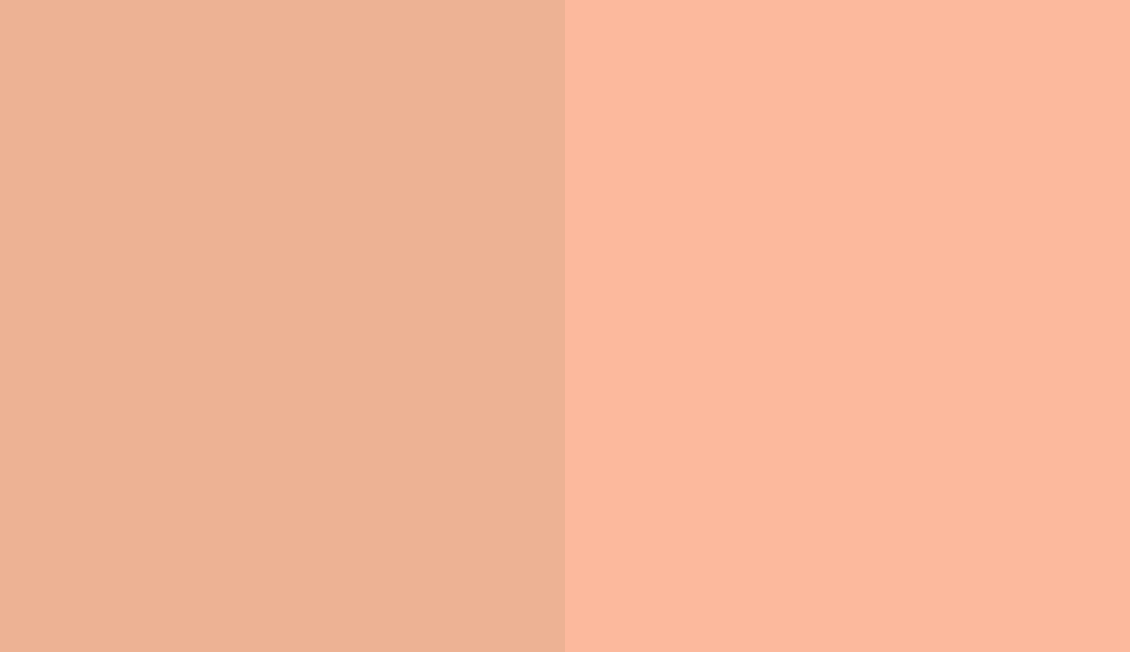 HEX #EDB294 to RAL 050 80 30 HEX #EDB294 to RAL 050 80 30