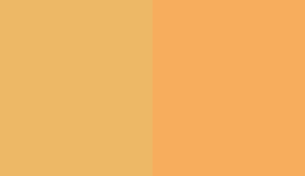 HEX #EDB866 to RAL 1017