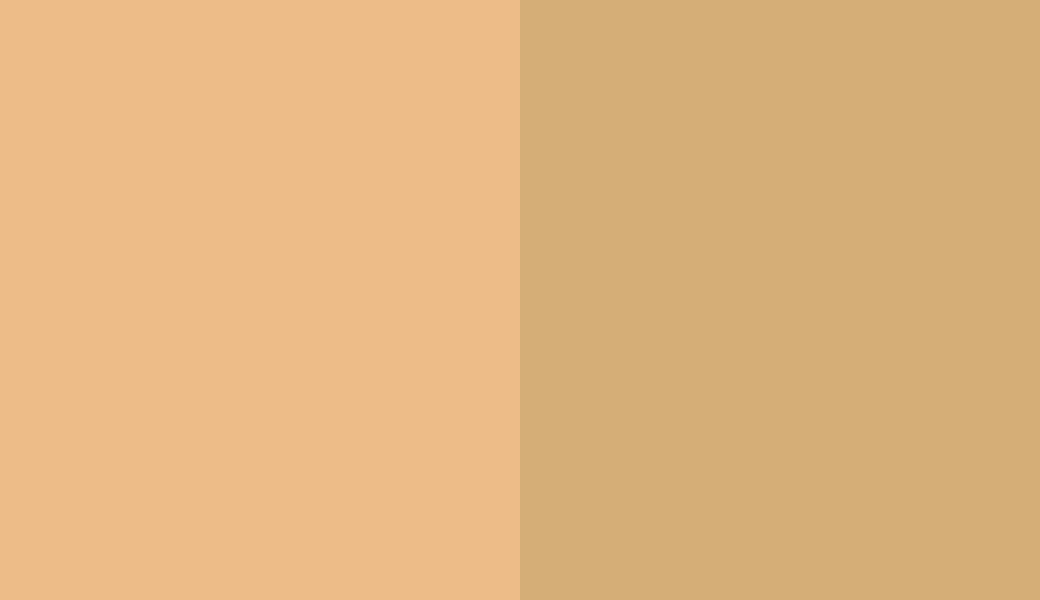 HEX #EDBC88 to RAL 1002 HEX #EDBC88 to RAL 1002