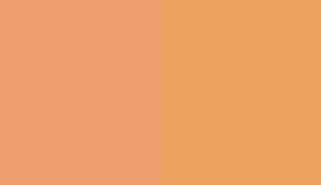 HEX #EF9E70 to RAL 1034 HEX #EF9E70 to RAL 1034