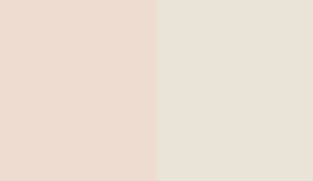 HEX #EFDCD0 to RAL 9001 HEX #EFDCD0 to RAL 9001