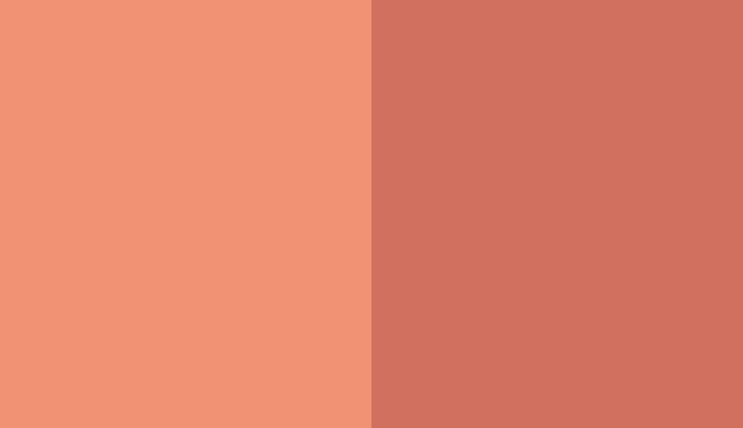 HEX #F09273 to RAL 3022