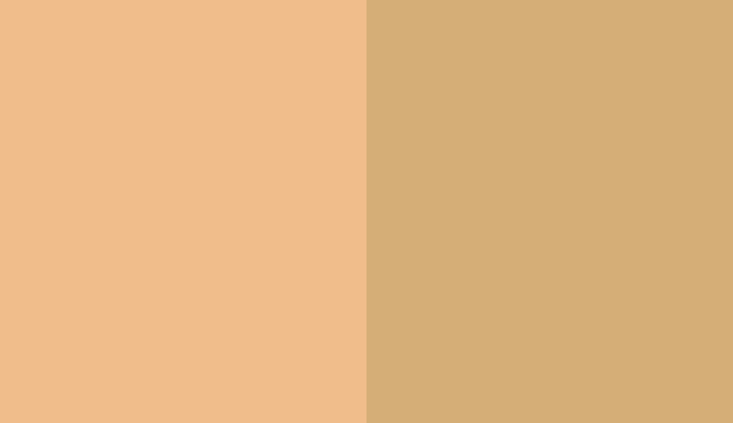 HEX #F0BD8B to RAL 1002