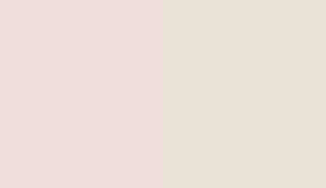 HEX #F0DEDC to RAL 9001