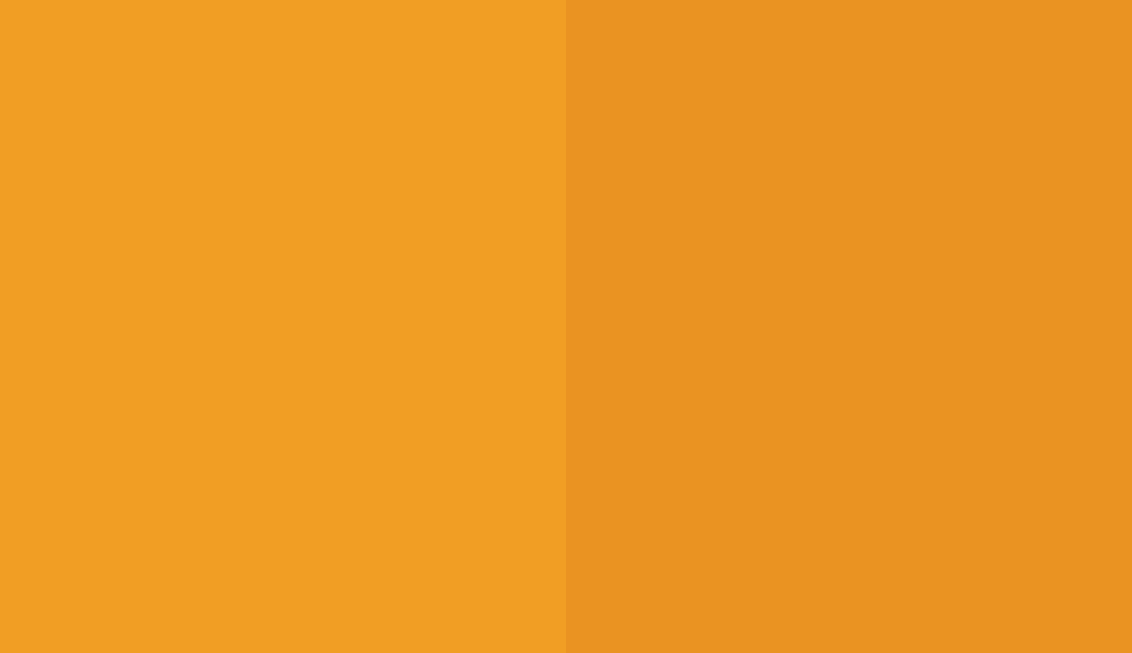 HEX #F19E25 to RAL 1007 HEX #F19E25 to RAL 1007