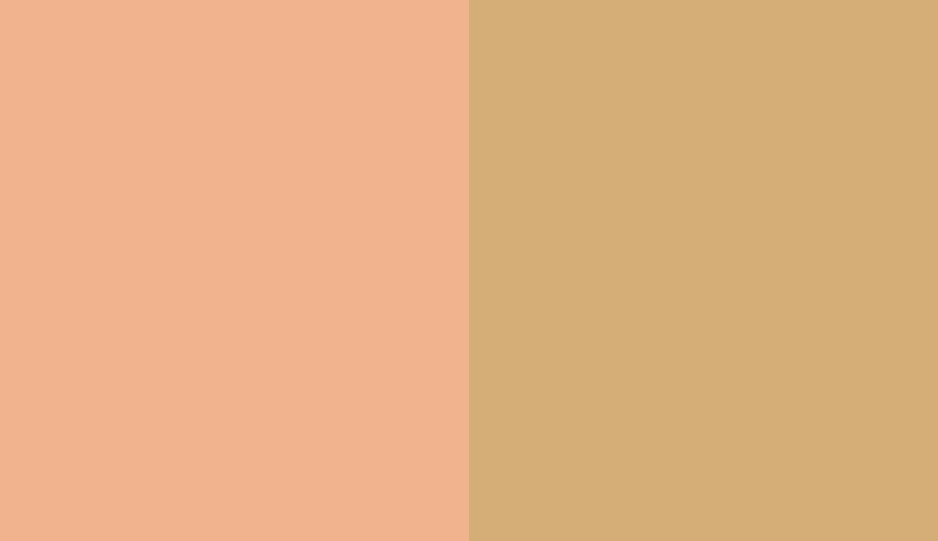 HEX #F1B28E to RAL 1002 HEX #F1B28E to RAL 1002