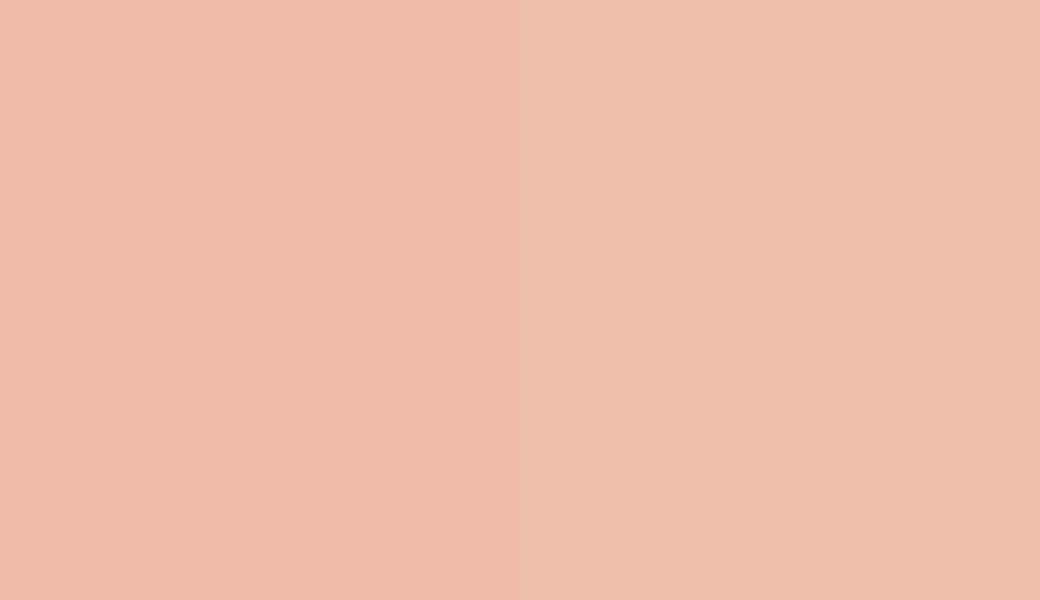HEX #F1BBA9 to RAL 050 80 20 HEX #F1BBA9 to RAL 050 80 20