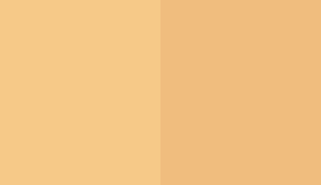 HEX #F6C988 to RAL 075 80 40