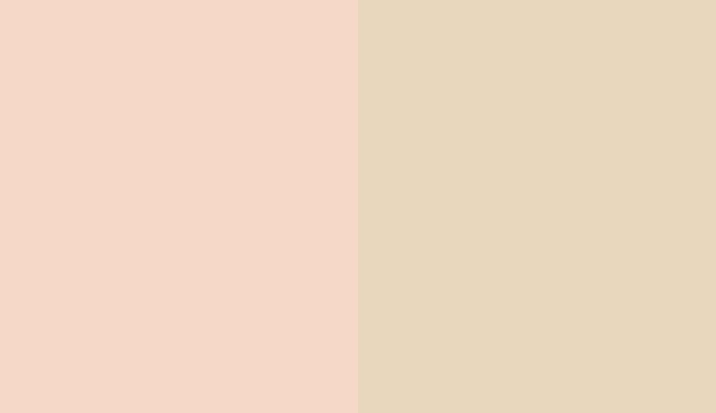 HEX #F6D6C7 to RAL 1015