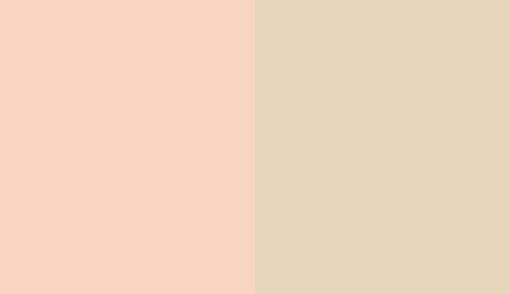 HEX #F8D5BF to RAL 1015