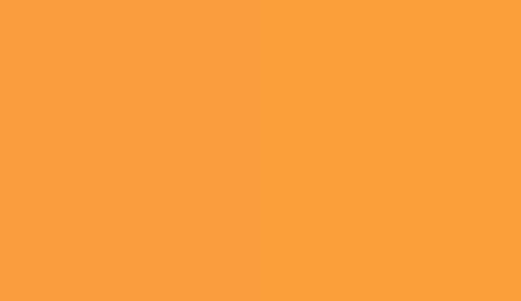 HEX #FA9D3E to RAL 1033