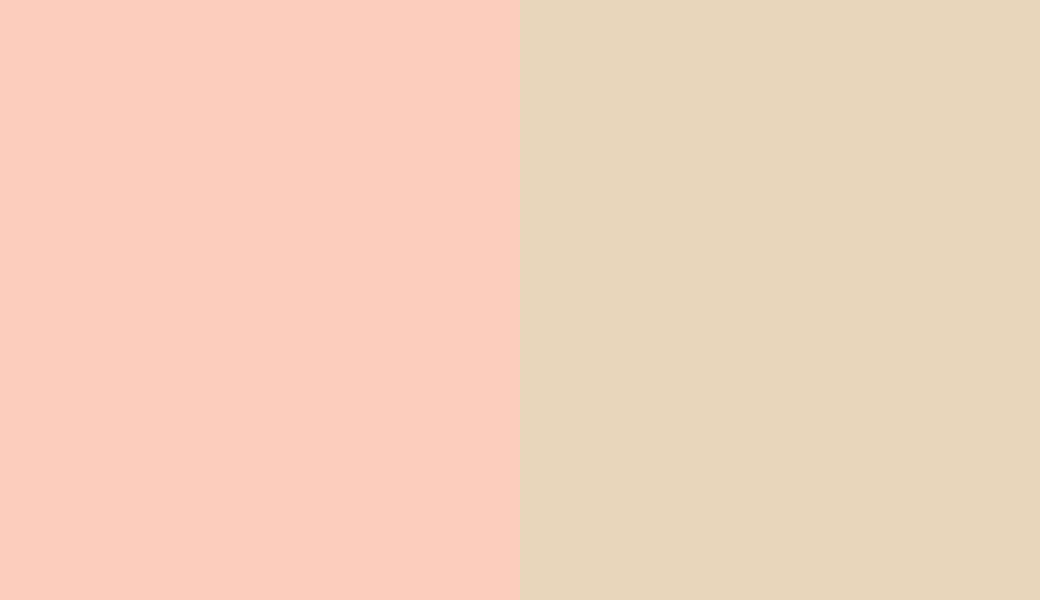 HEX #FCCDBD to RAL 1015