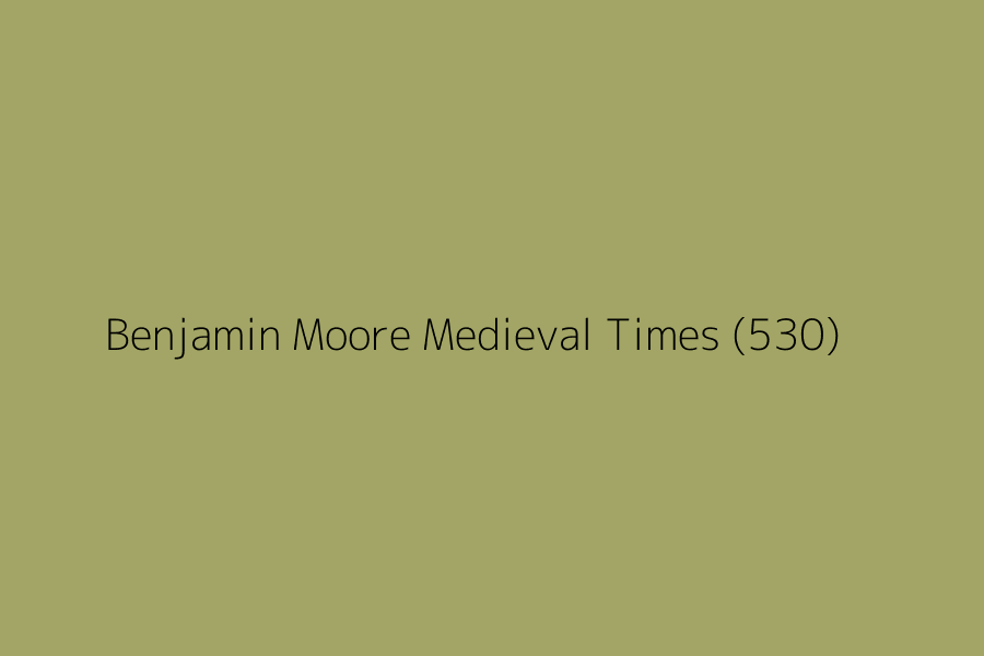 Benjamin Moore Medieval Times (530) represented in HEX code #a2a565