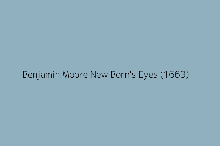 Benjamin Moore New Born's Eyes (1663) represented in HEX code #90b0c0