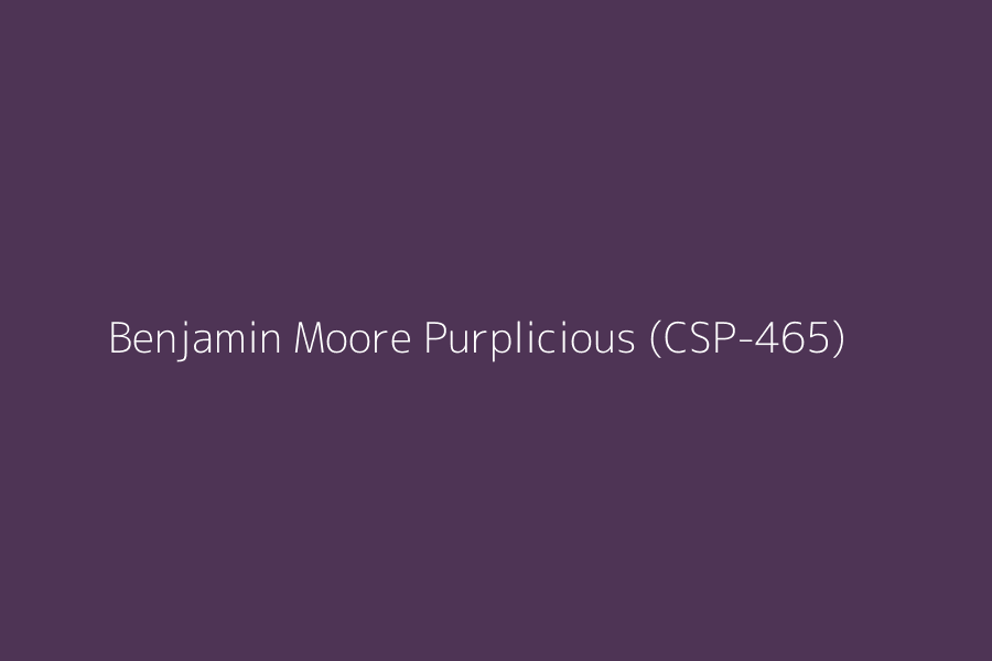 Benjamin Moore Purplicious (CSP-465) represented in HEX code #4E3455
