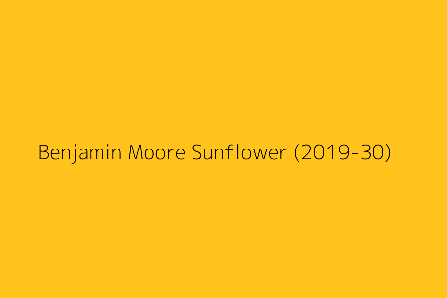 Benjamin Moore Sunflower (2019-30) represented in HEX code #FFC31C