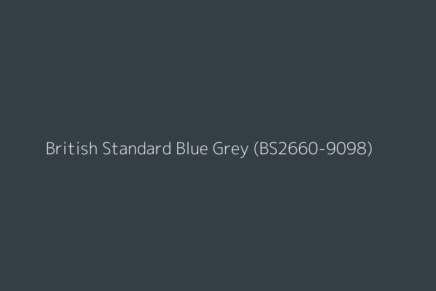 British Standard Blue Grey (BS2660-9098) represented in HEX code #333E45