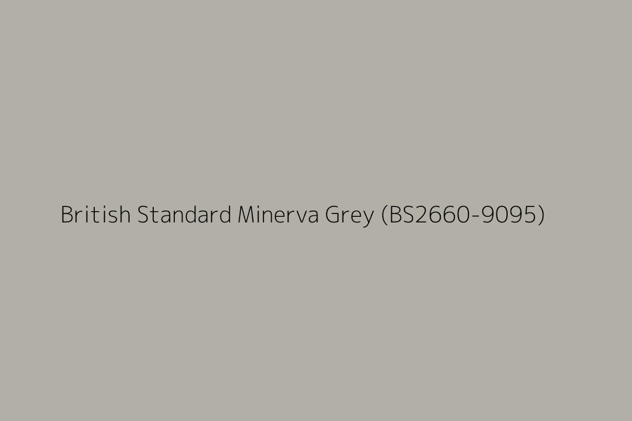 British Standard Minerva Grey (BS2660-9095) represented in HEX code #B2AFA6