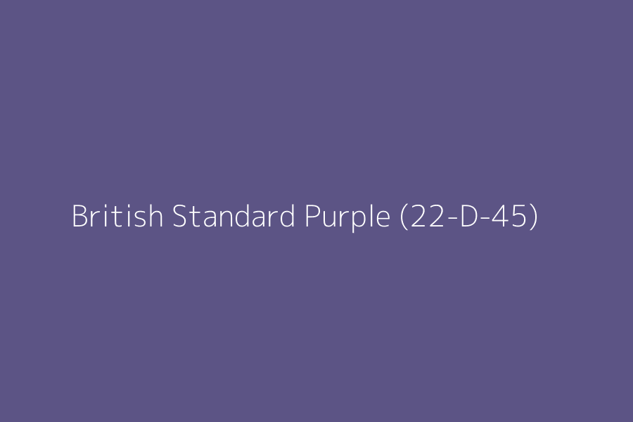British Standard Purple (22-D-45) represented in HEX code #5c5485
