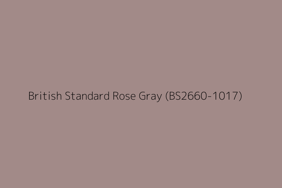 British Standard Rose Gray (BS2660-1017) represented in HEX code #a28a88