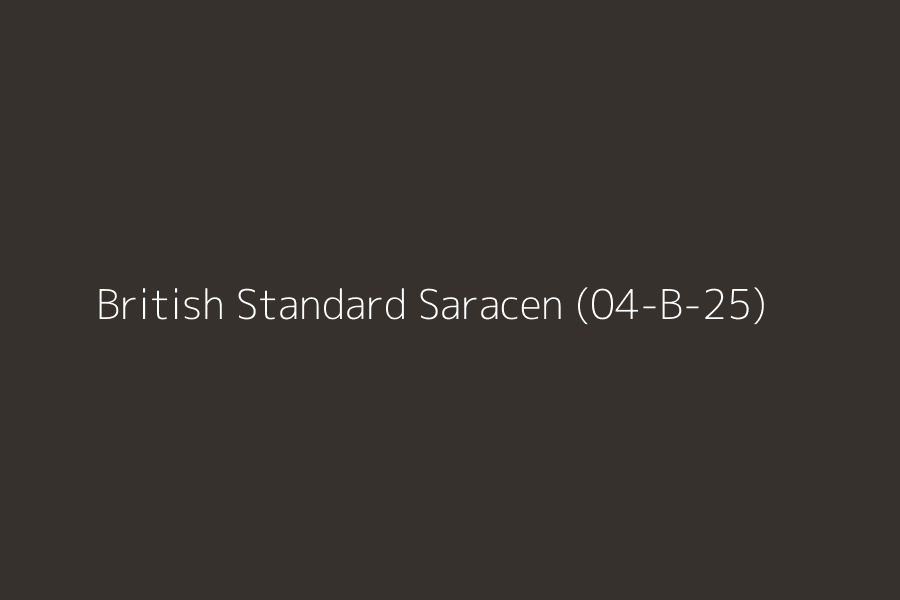 British Standard Saracen (04-B-25) represented in HEX code #36312D