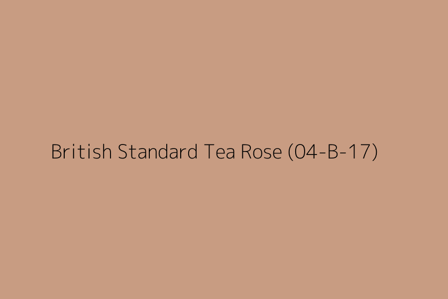 British Standard Tea Rose (04-B-17) represented in HEX code #C89C82