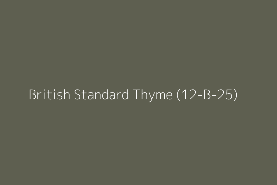 British Standard Thyme (12-B-25) represented in HEX code #5E5F50