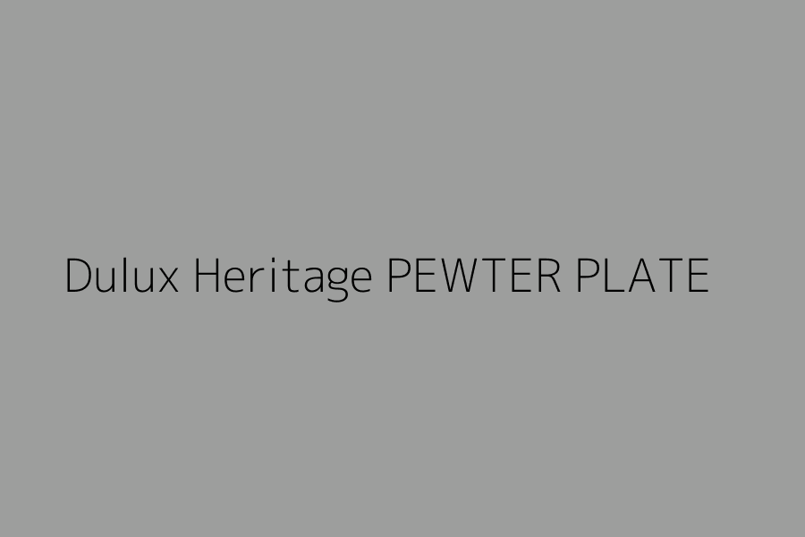 Dulux Heritage PEWTER PLATE represented in HEX code #9d9e9d